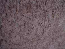 tullamore court 1192.jpg